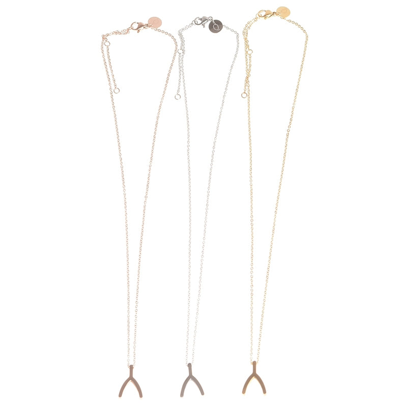 Delicado collar con forma de hueso de la suerte - Plata