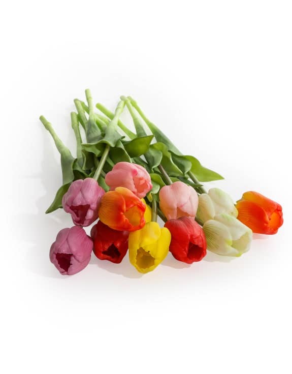 Assorted Mixed Colour Tulip Stems