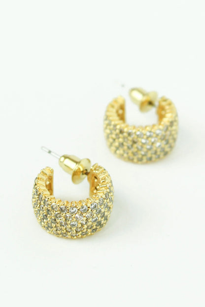 Thick Pave Hoops