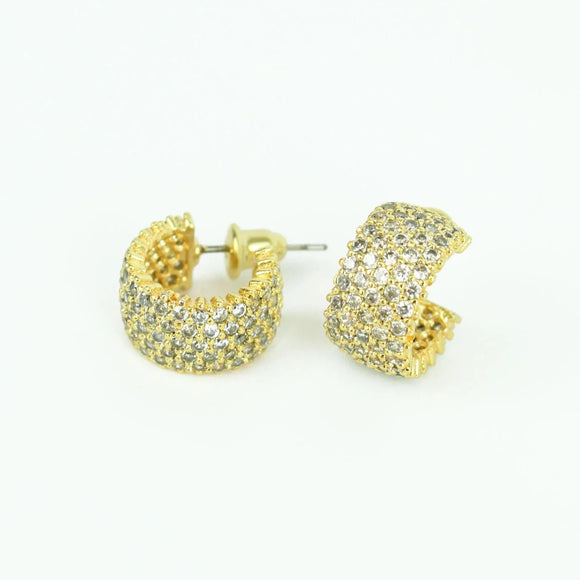 Thick Pave Hoops