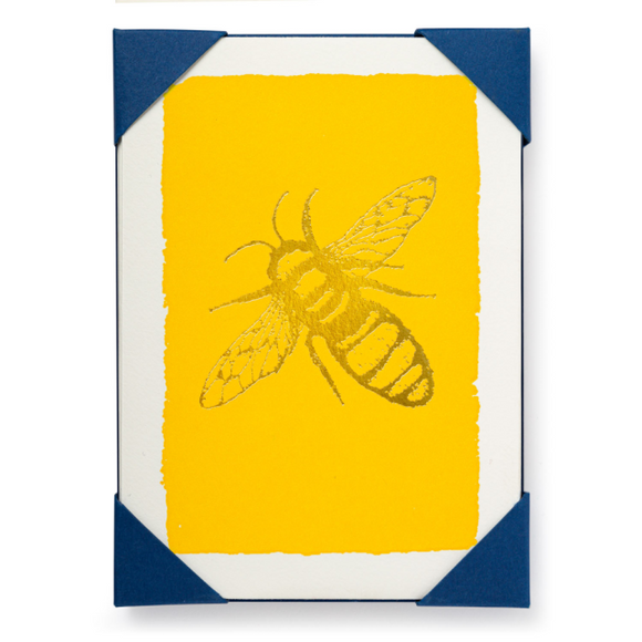 Pack of Cards - Bee