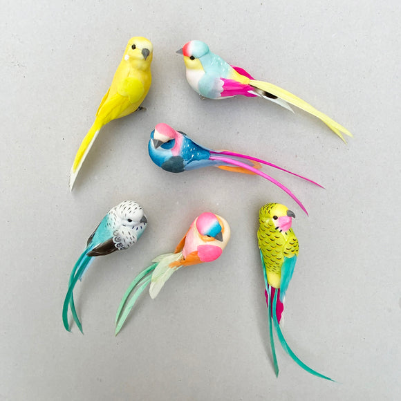 Feathered Birds