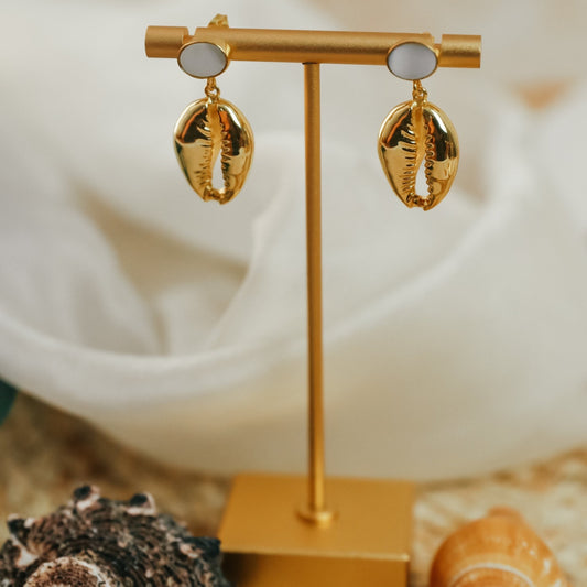 Gold Cowrie Earrings