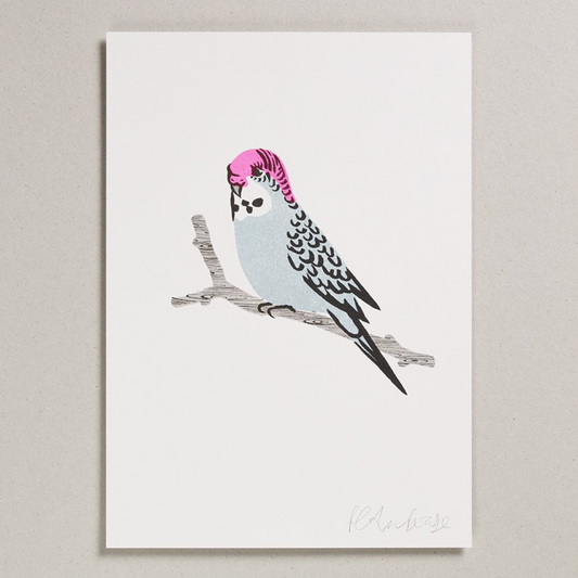 A4 Blue Budgie Print