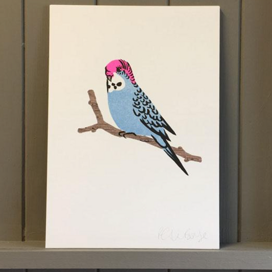 A4 Blue Budgie Print