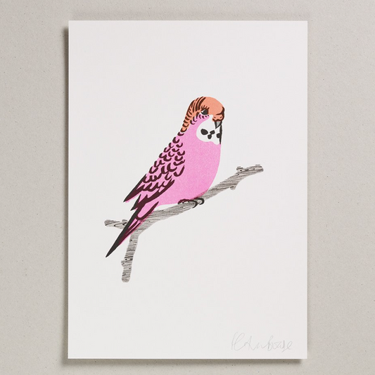 A4 Pink Budgie Print