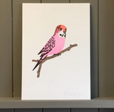A4 Pink Budgie Print